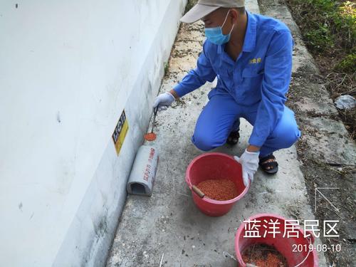 2019年8月10日儋州市兰洋镇病媒生物防制工作日志