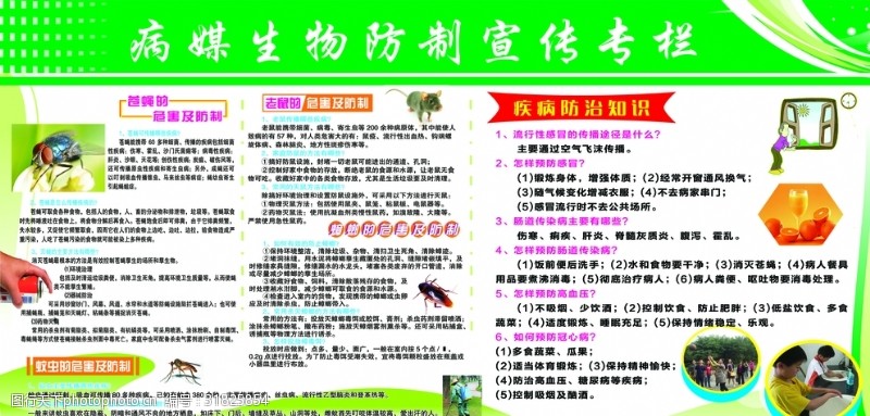 病媒生物控制专栏图片素材