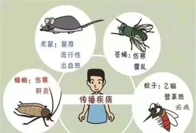 新筑新城第二幼儿园开展病媒生物防制工作